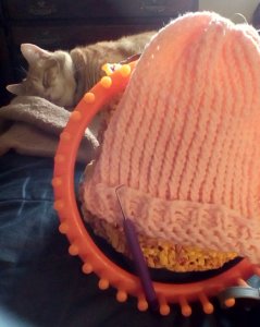 IMG_20160319_1641264_rewind_kindlephoto-25090135