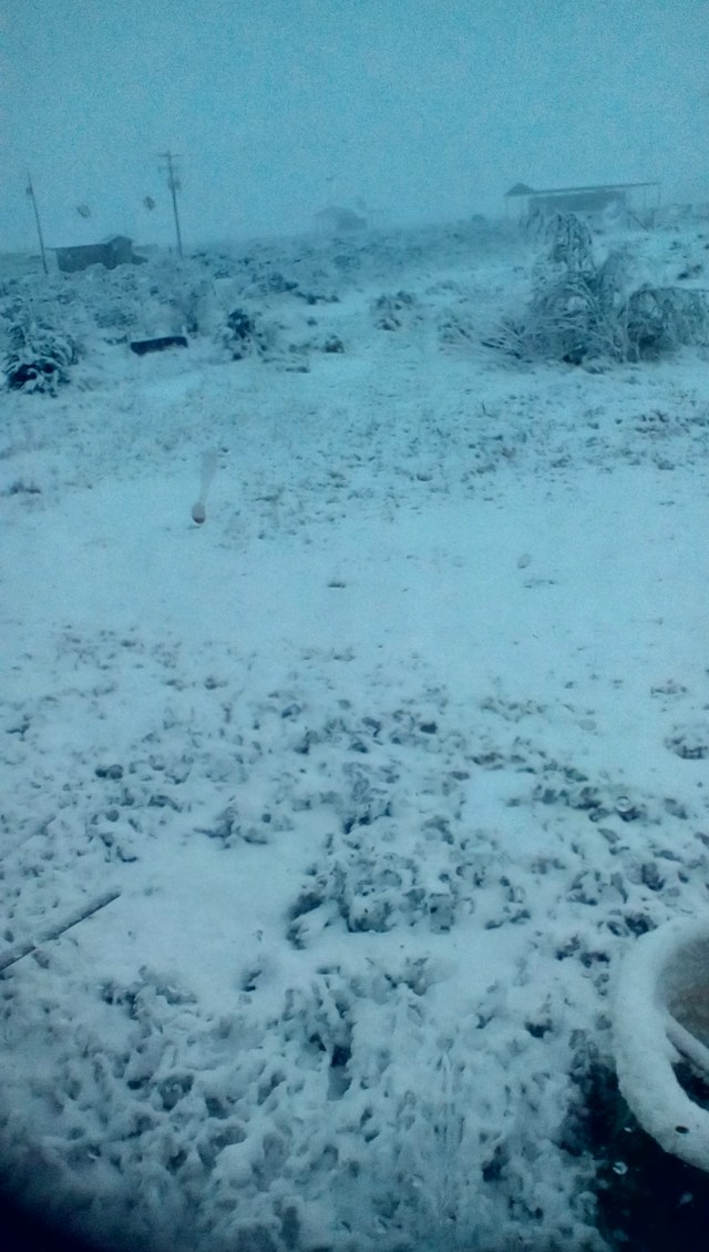 img_20160521_0526280_rewind