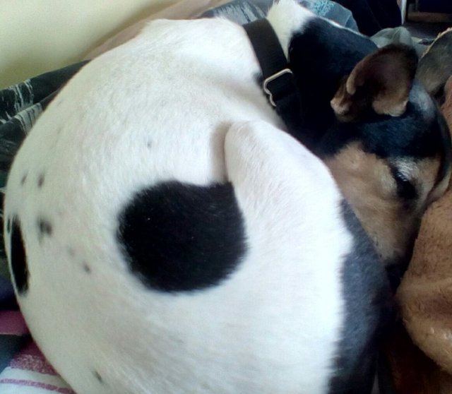 img_20170117_1134481_rewind_kindlephoto-613666