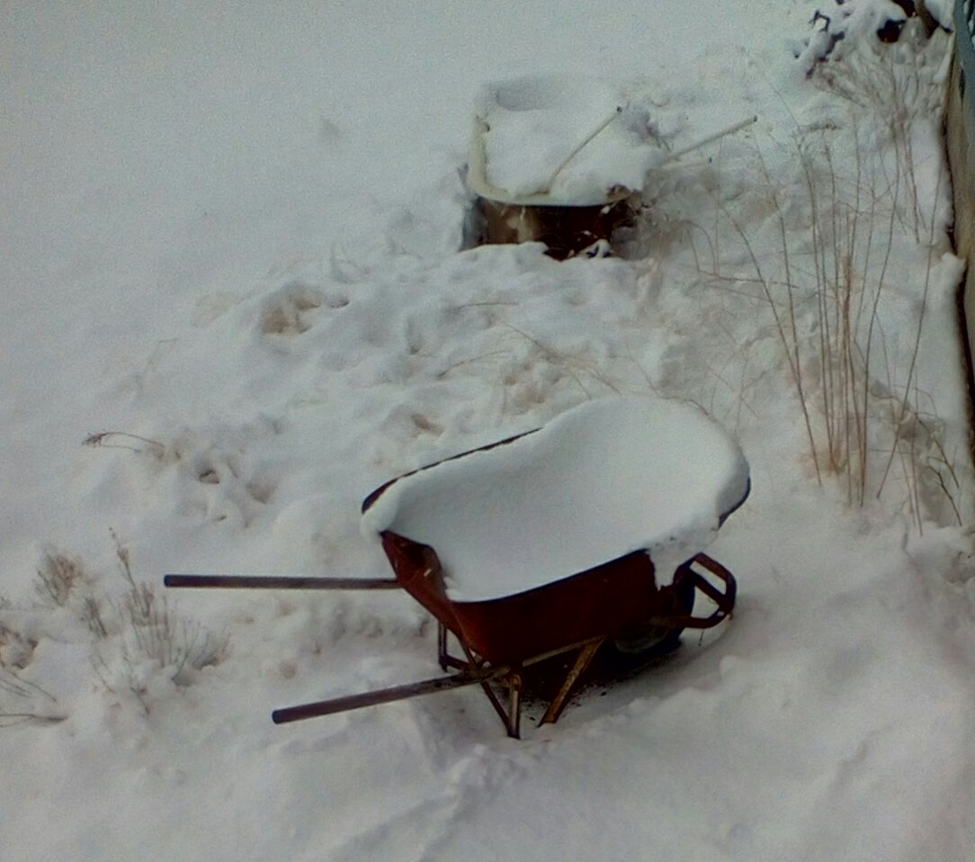 img_20170207_0923592_rewind_kindlephoto-1295507