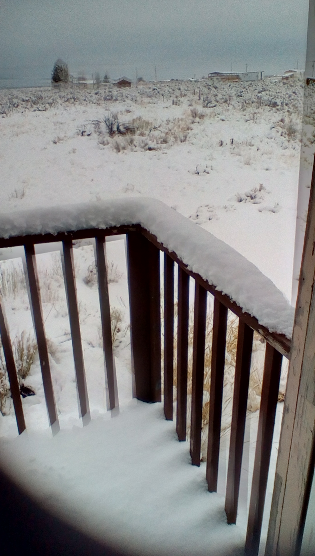 img_20170207_0925312_rewind