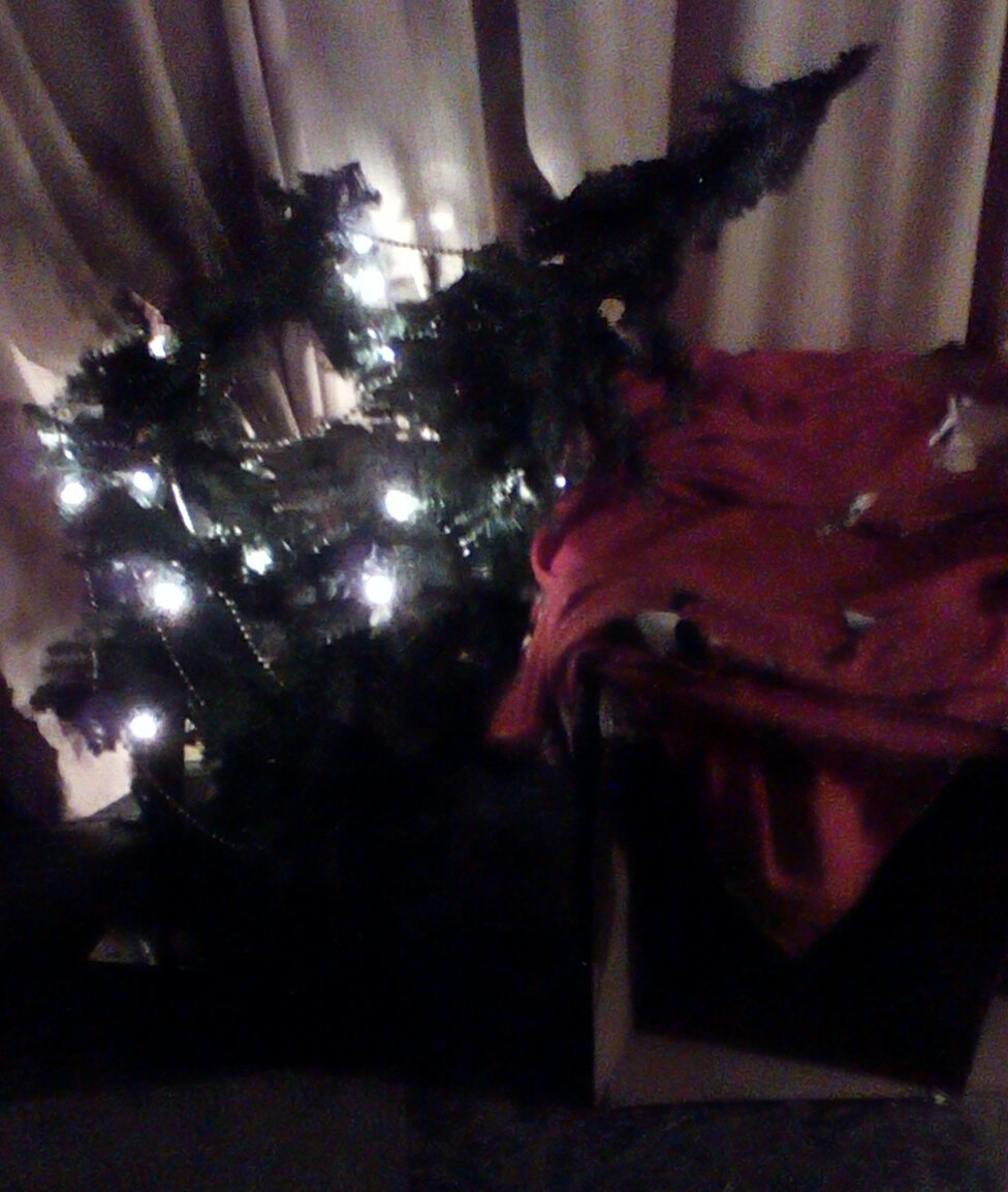 img_20170215_2223274_rewind_kindlephoto-2270029